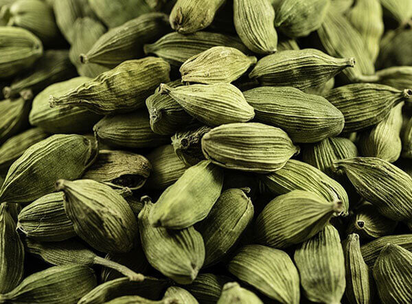 Cardamom Seeds Cleaning Machinery